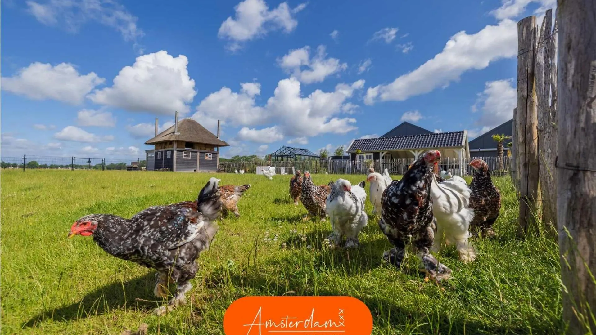 Holiday home Amsterdam Group Stay - Jacuzzi, Sauna & Cinema Zwanenburg